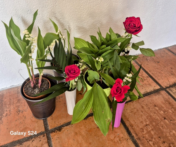 1er mai