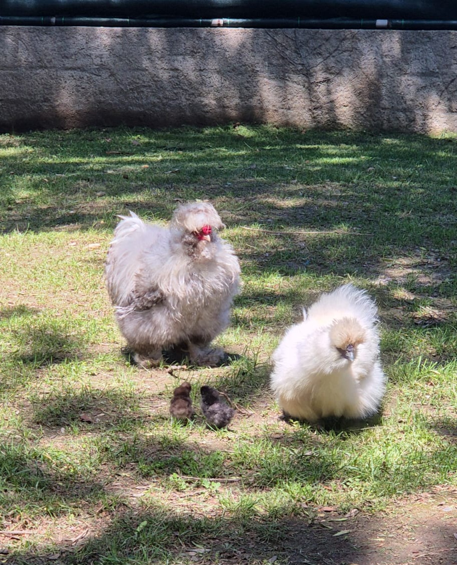 La famille s'agrandit