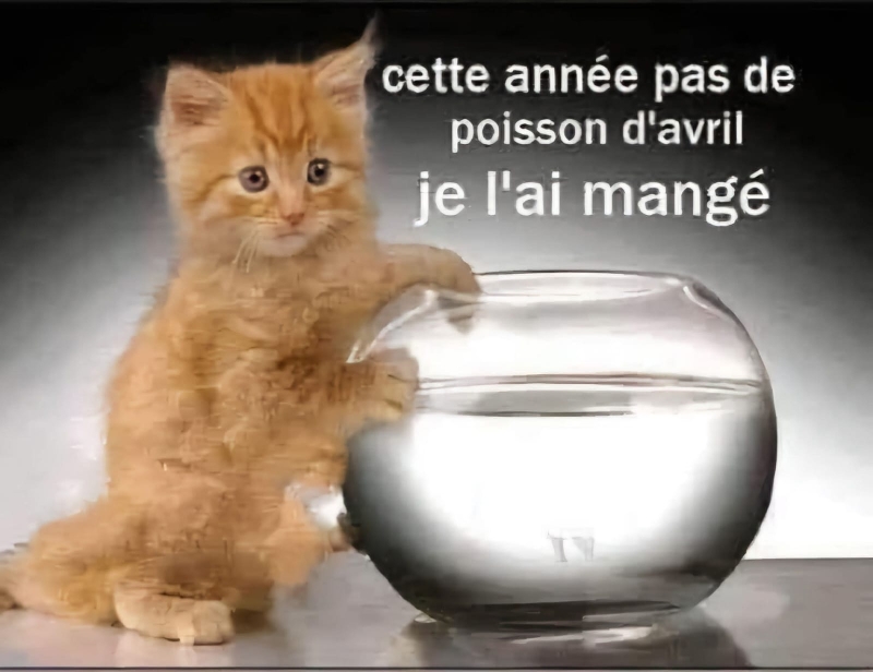 MAIS IL EST O� ?????