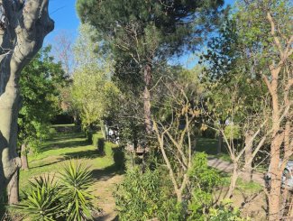 La saison reprend bient�t .........