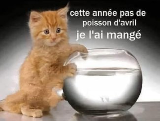 MAIS IL EST O� ?????