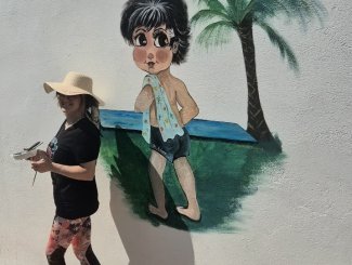 Mur apr�s mur