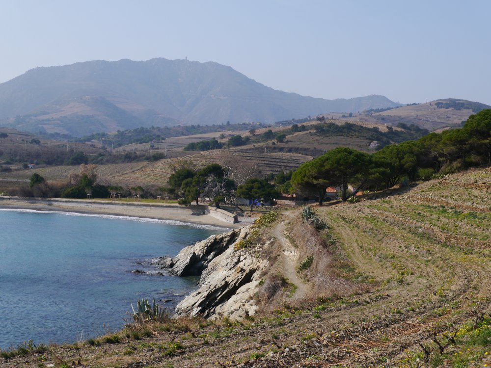 Situation Camping à Argeles Proche Des Plages De La