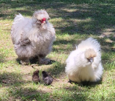 Processing your data